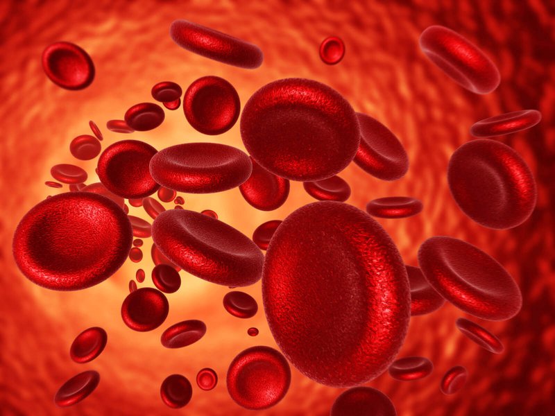Ý nghĩa chỉ số hồng cầu trong xét nghiệm máu